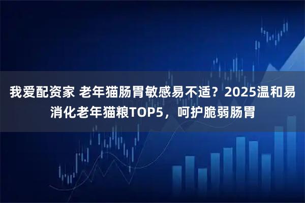 我爱配资家 老年猫肠胃敏感易不适？2025温和易消化老年猫粮TOP5，呵护脆弱肠胃